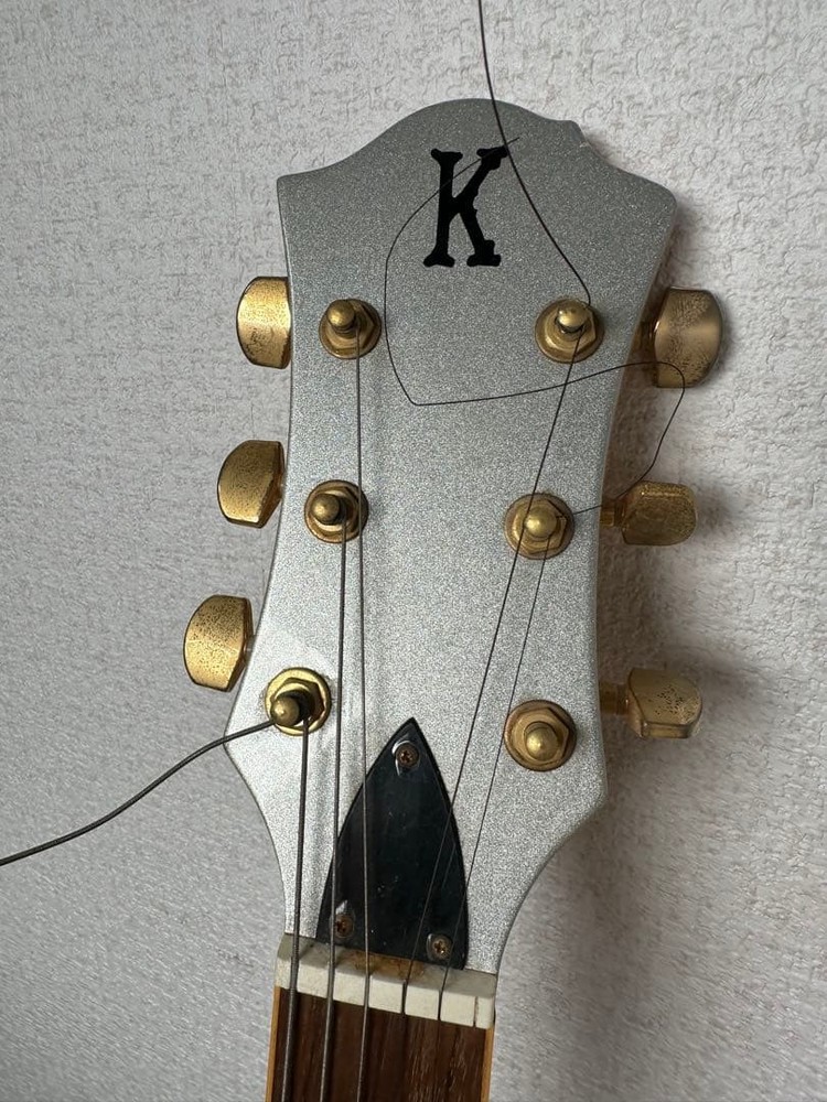 K.Garage Electric Guitar Mockingbird Hide Model