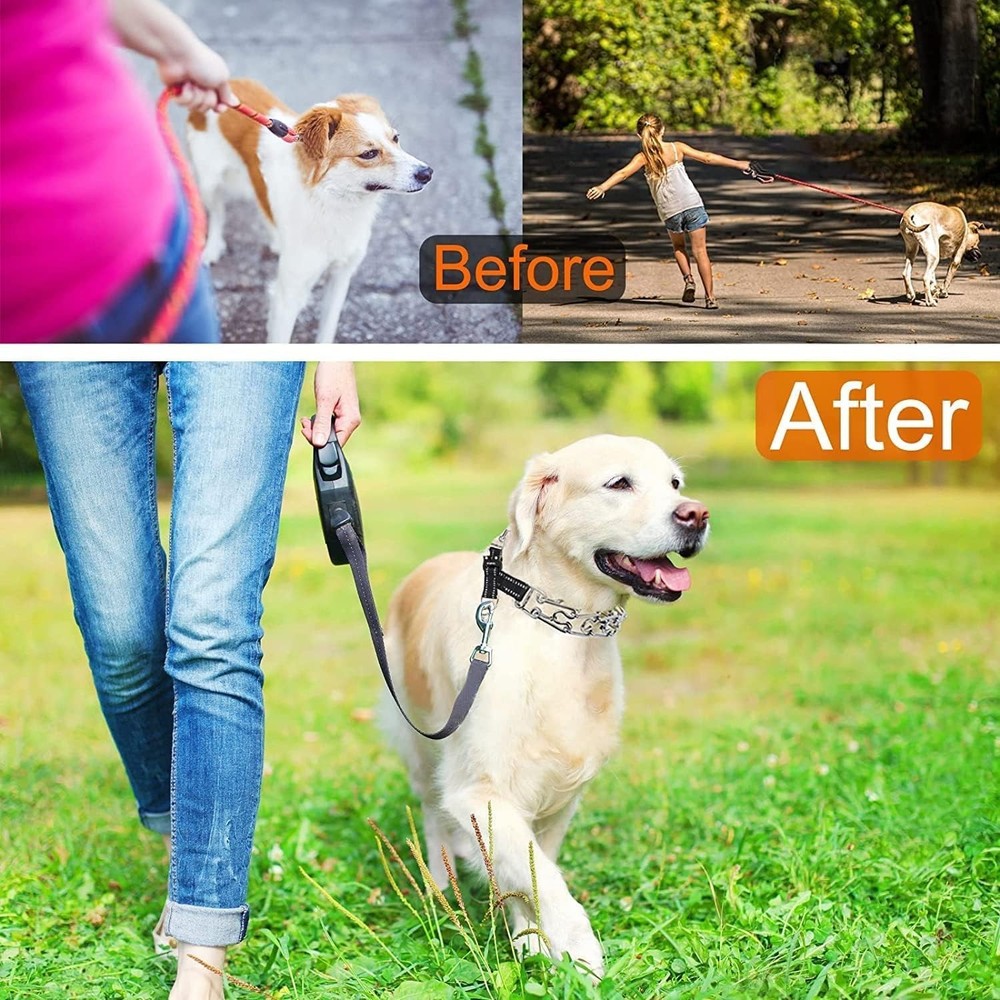 Adjustable Dog Collar with Comfortable Rubber Tip and Quick Release Buckle fo...