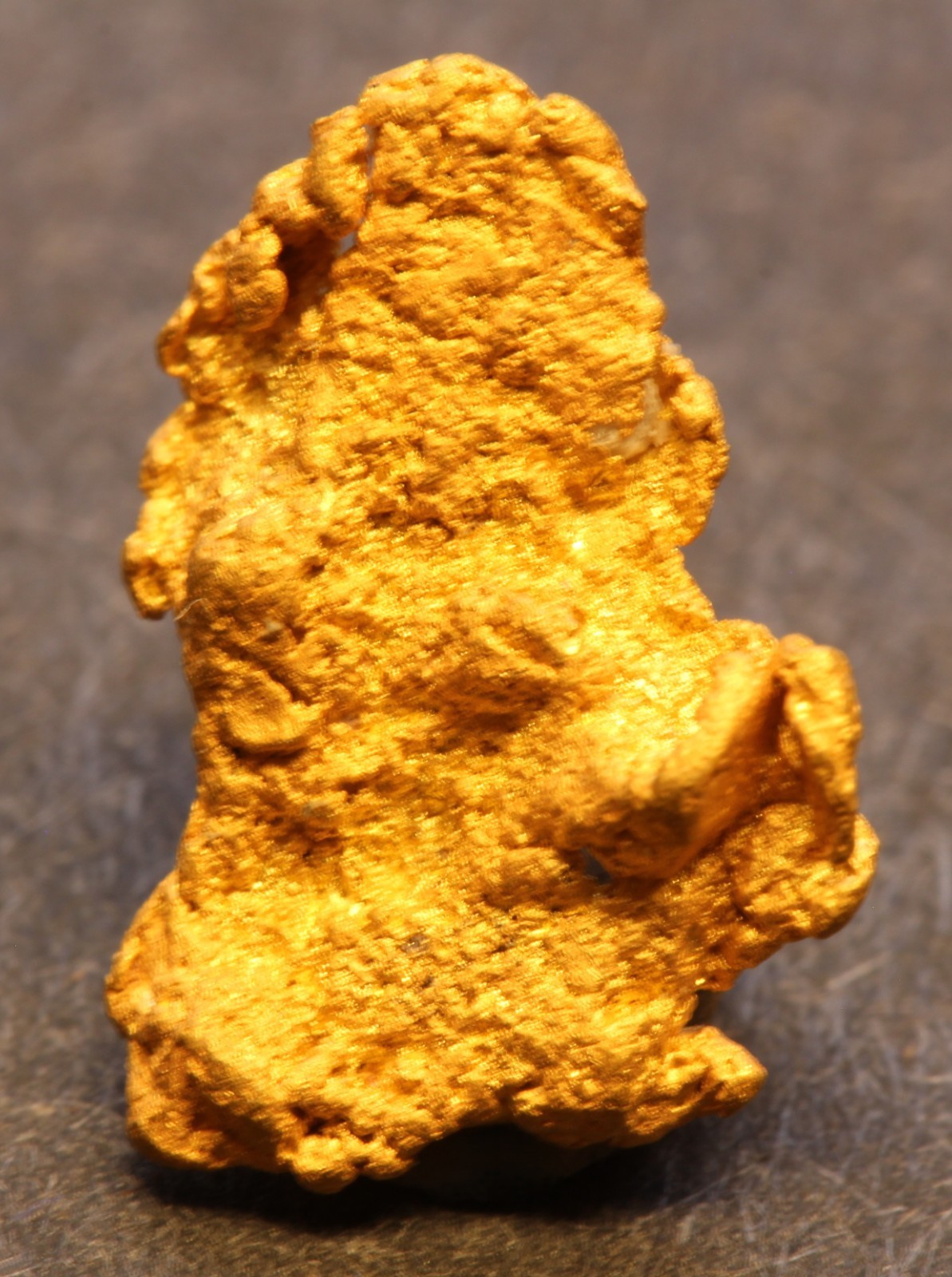 Gold nugget 0.96 Gram Battle Mtn. Placers Lander Co. NV