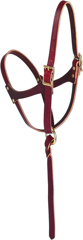 Figure-8 Foal Halter Russet, 5/8"