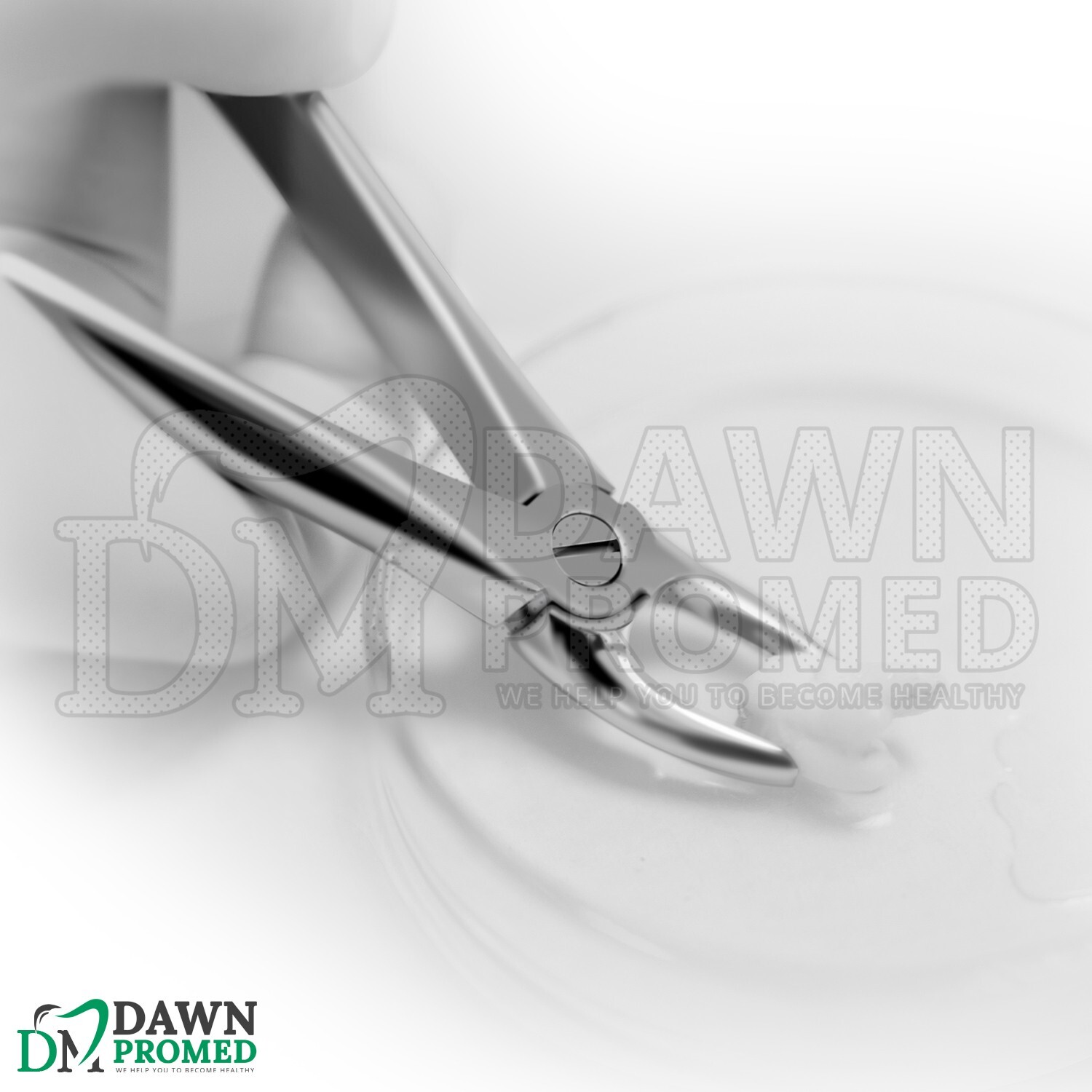 12 Pcs Dental Extracting Forceps Tooth Extraction Instruments Kit Set German Gr