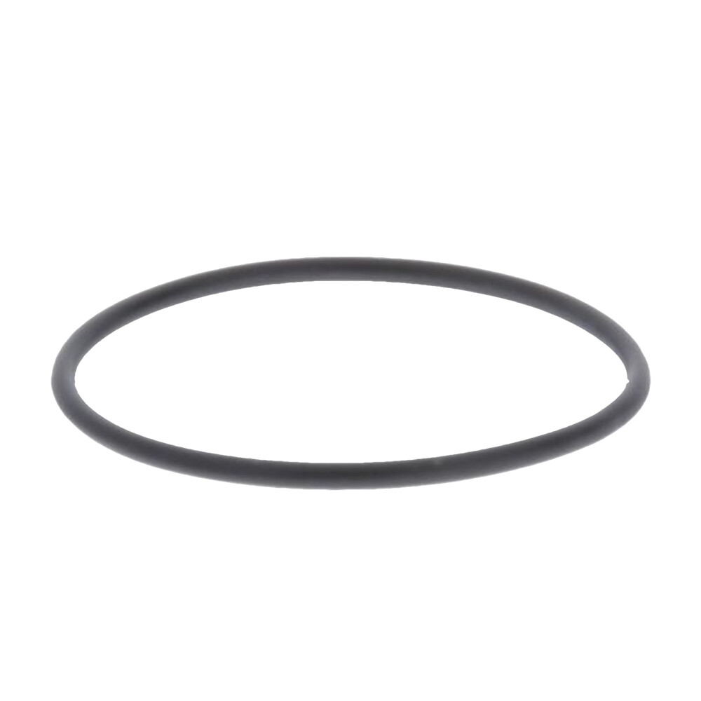 Dig DIG 3/4 & 1 Inch XL Filter Body O-ring