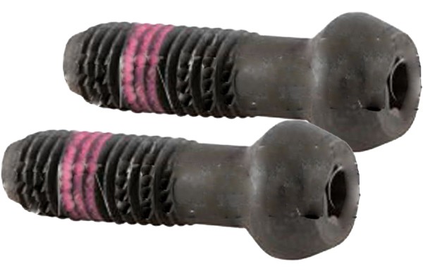 DeWalt Drill Reverse Thread Chuck Screw (2 Pack) - 605256-01-2PK