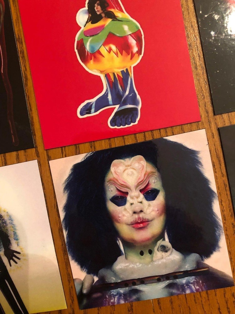 Bjork fridge magnets