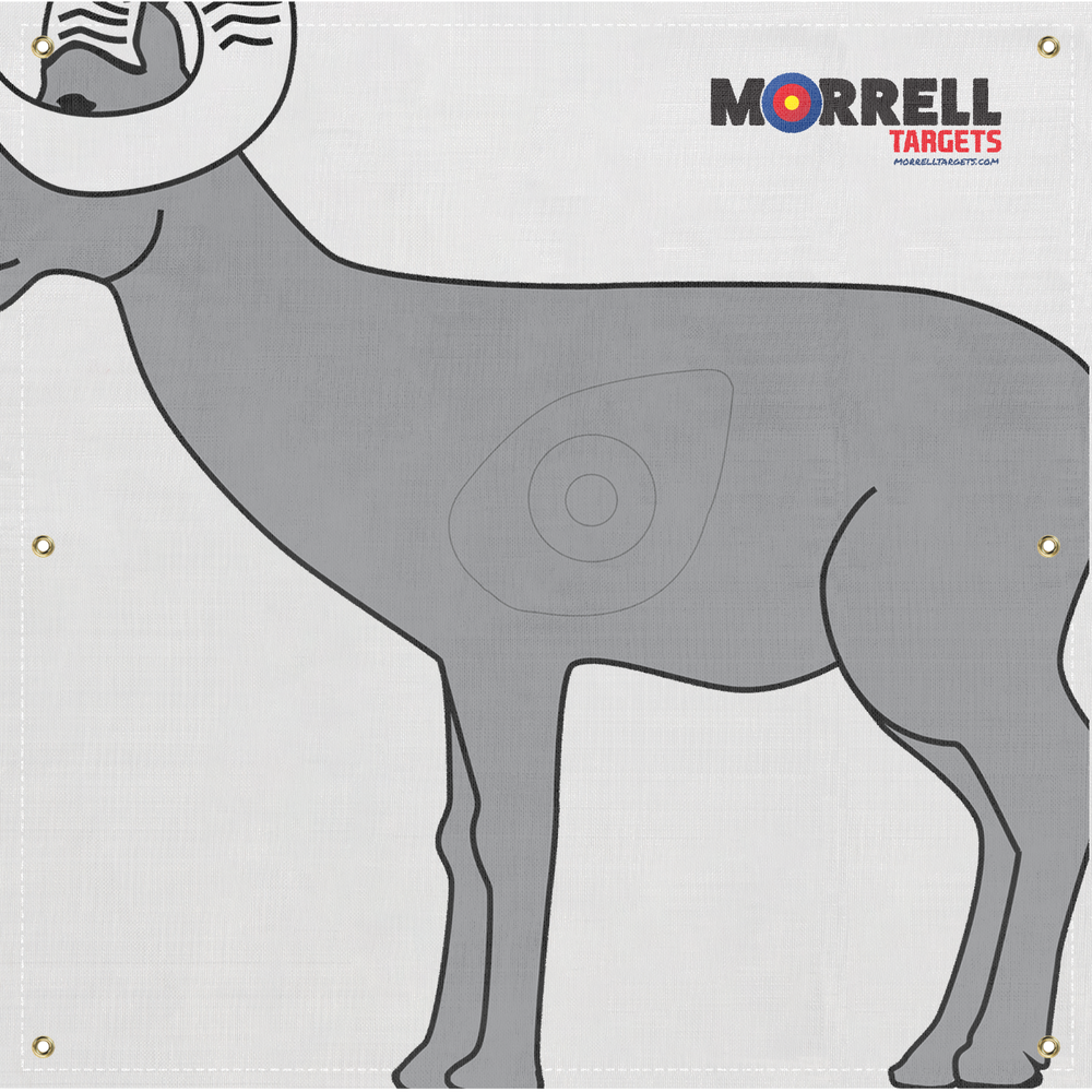 Morrell NASP-IBO Full Size Ram Target Face