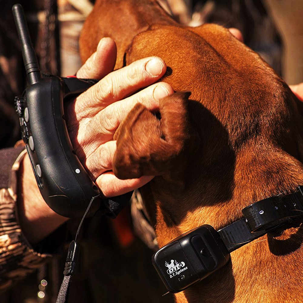 DT Systems Rapid Access Pro Trainer RAPT 1400