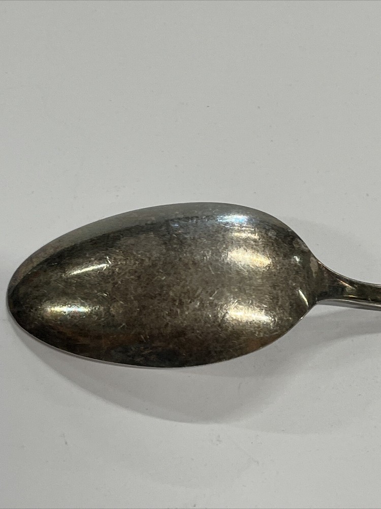 Wm. Rogers Silver IS 7 1/4 inch Serving Spoon