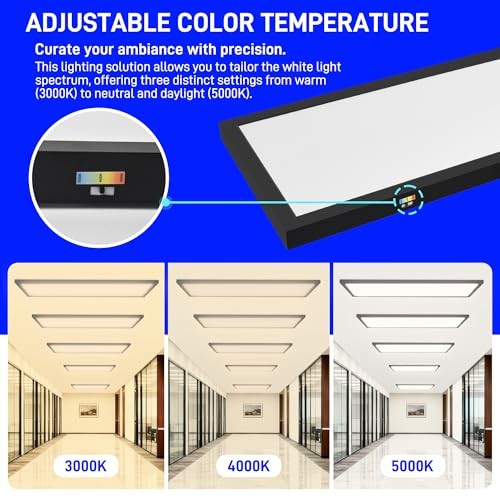 1x4 FT LED Flat Panel Selectable CCT Flush Mount 1x4 FT 2-Pack Black
