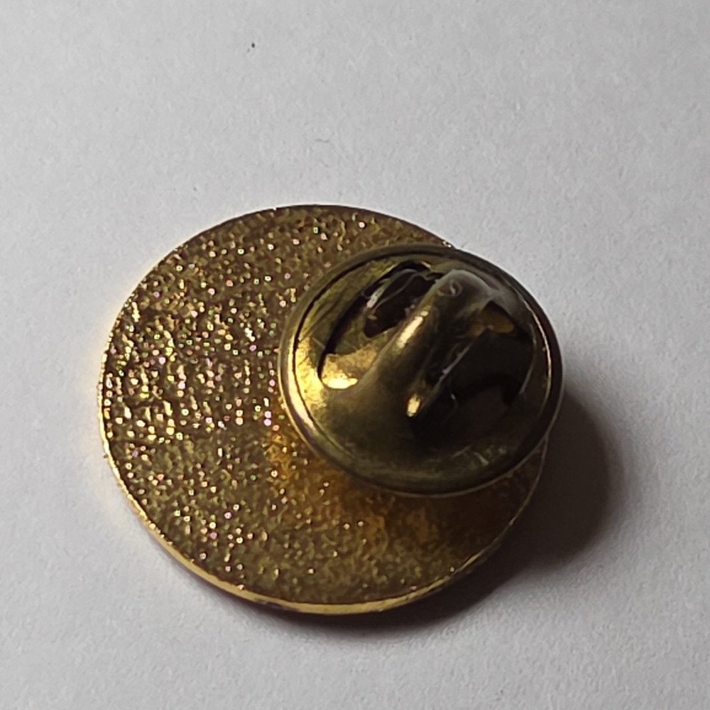 Georgia Fire Academy Pin