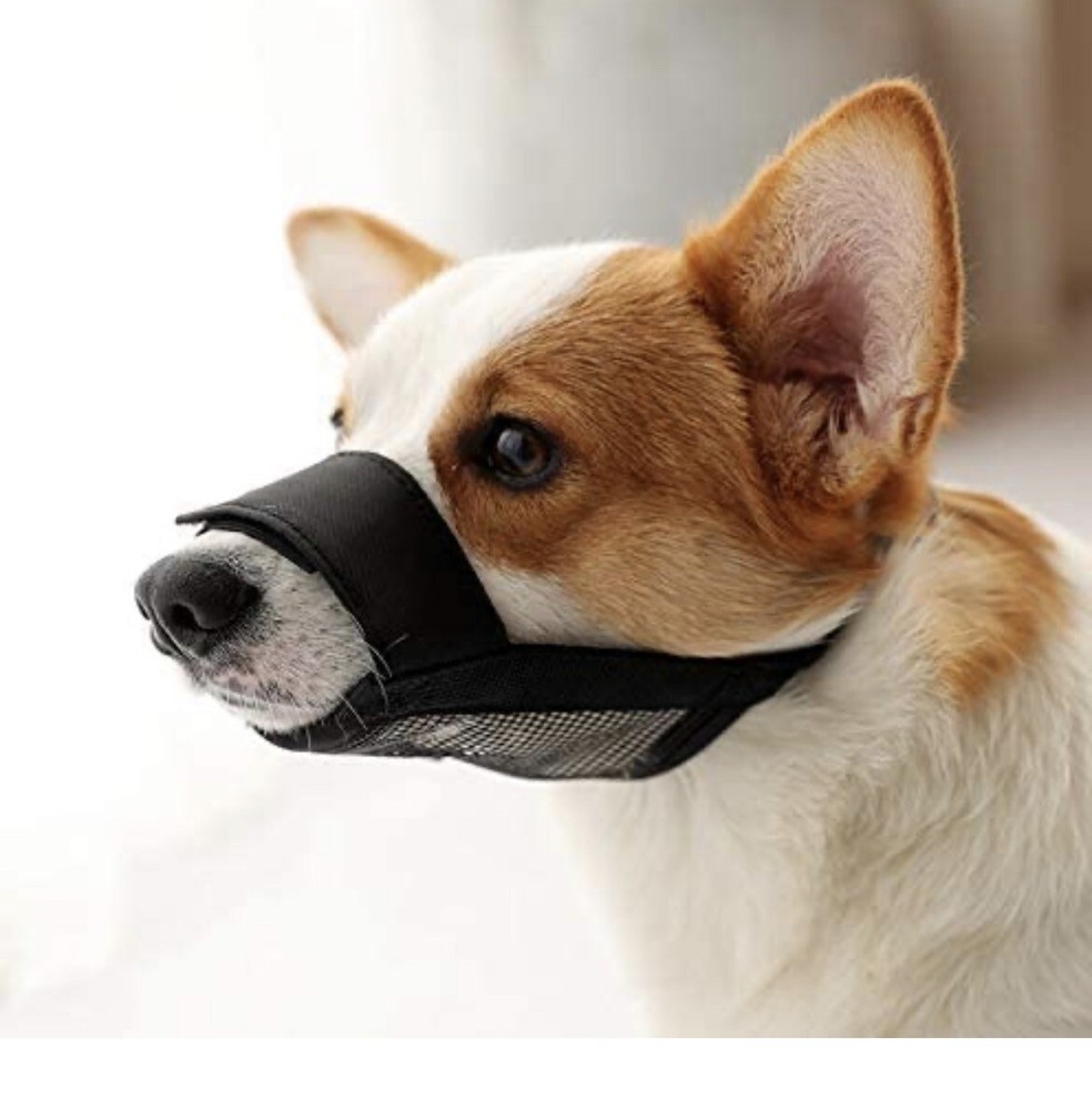 Coolsnail Dog Muzzle Training Dogs Large, Nylon Soft, Adjustable Breathable Mesh