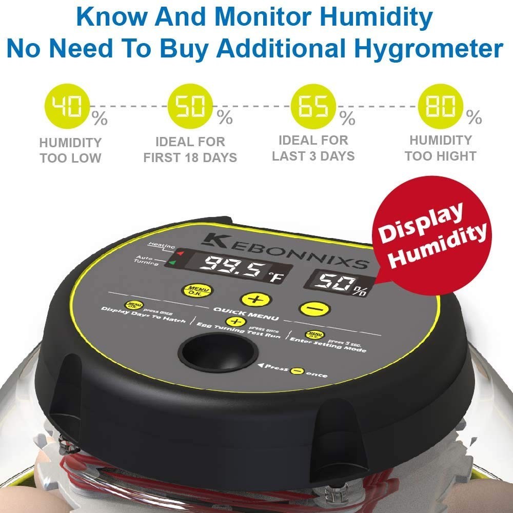 12 Egg Incubator with Humidity Display & Automatic Turner for Optimal Hatching