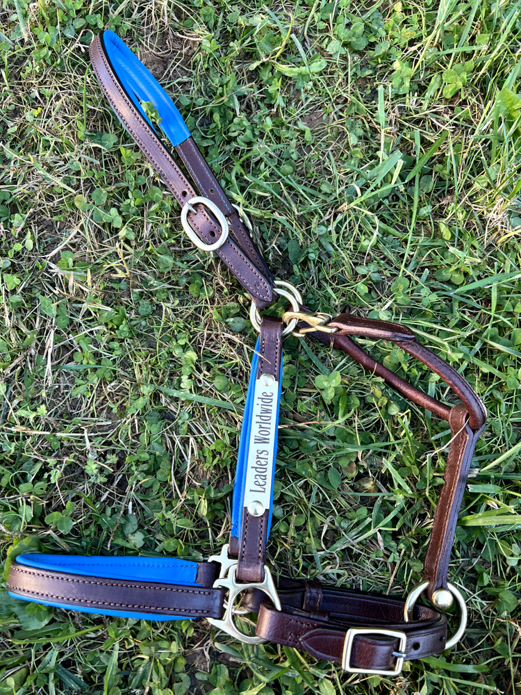 Leaders 3/4" Leather Halter Royal Blue Padding with Solid Brass Hardware