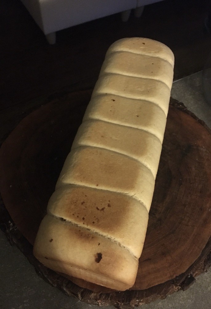 Sourdough Starter