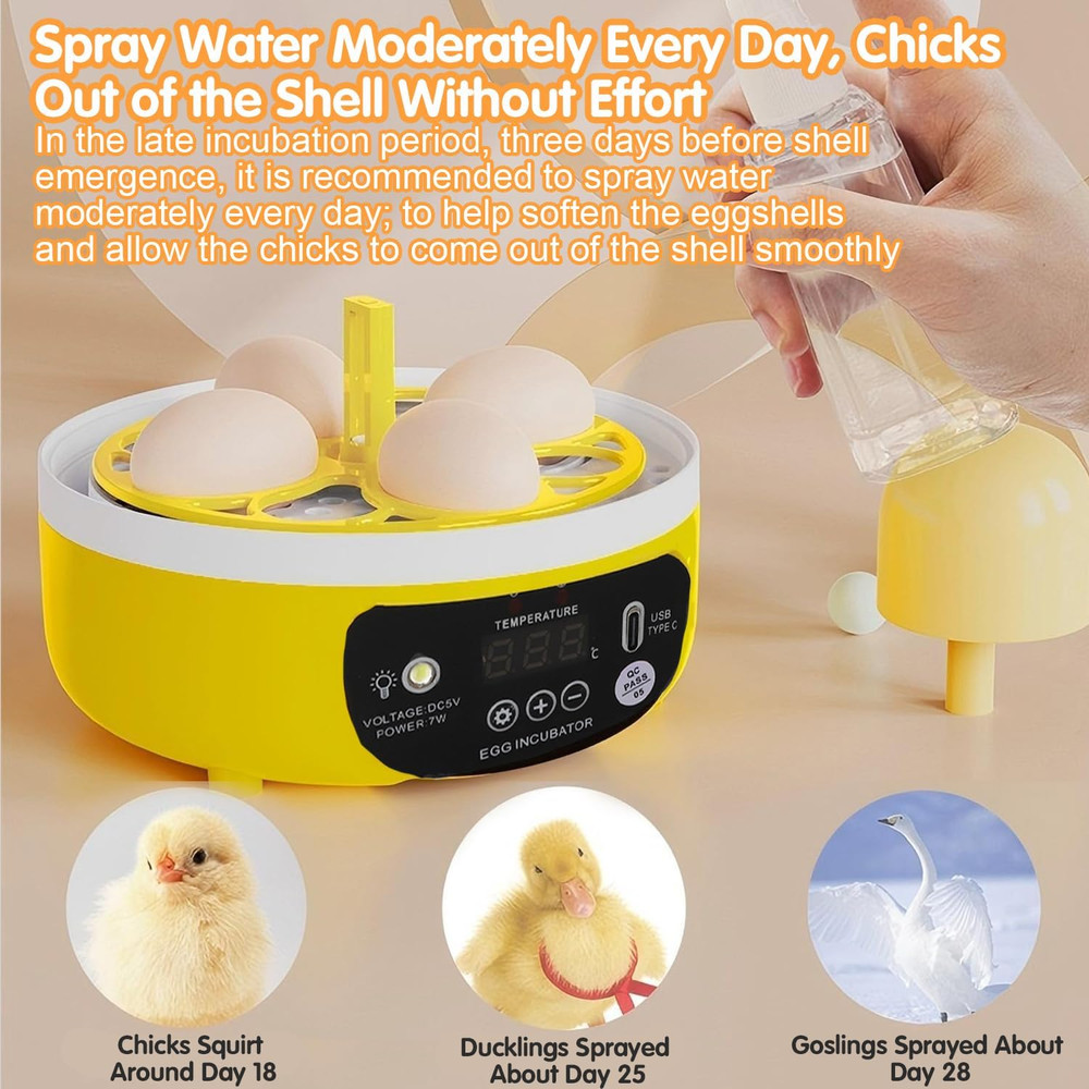 4 Eggs Mini Incubator with Transparent Lid,7W Automatic Temperature Humidity Con