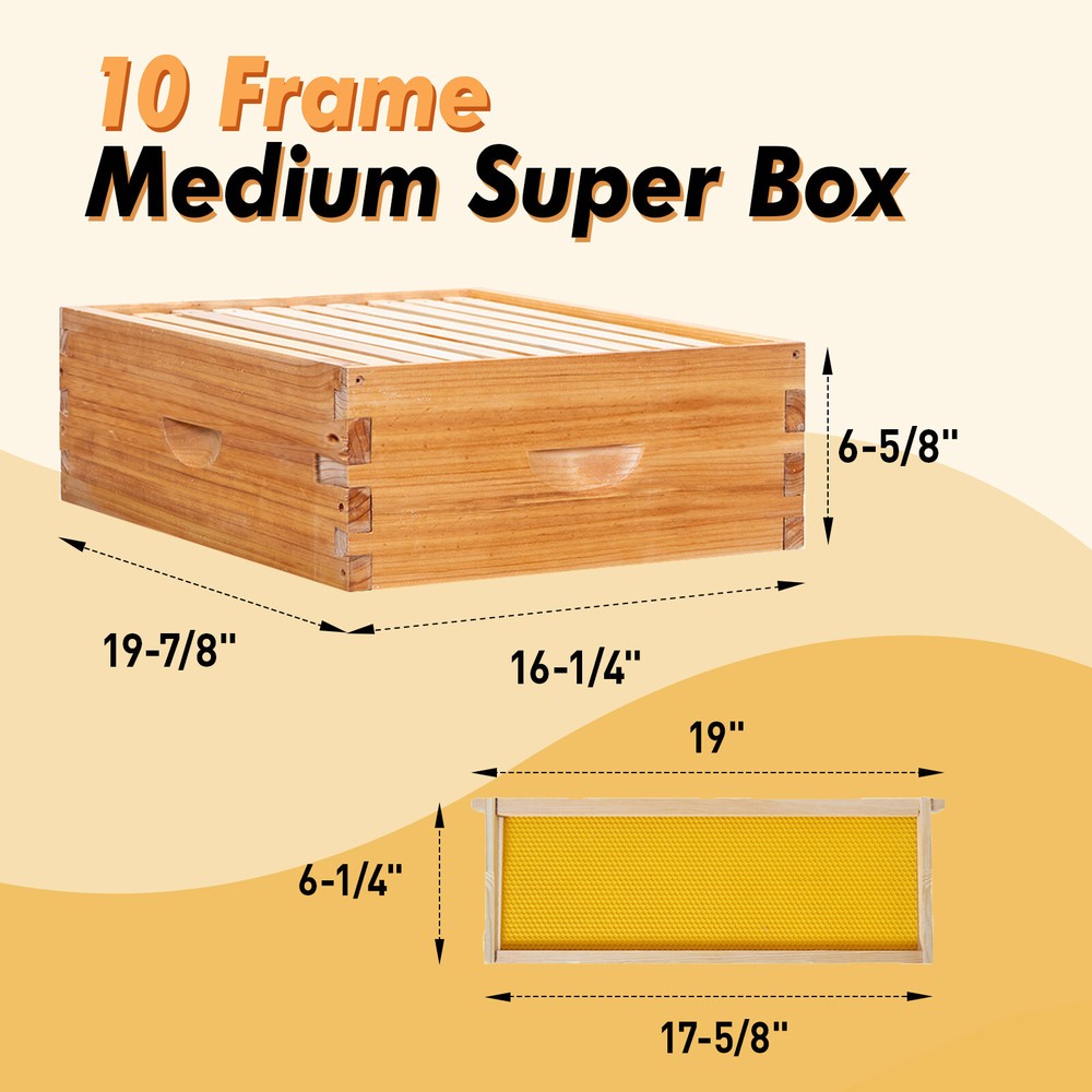 BeeCastle 10 Frame Beehive ( 2 Deep Brood Bee Boxes & 1 Medium Super Bee Box)