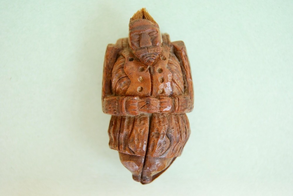 ANTIQUE COQUILLA SNUFF BOX