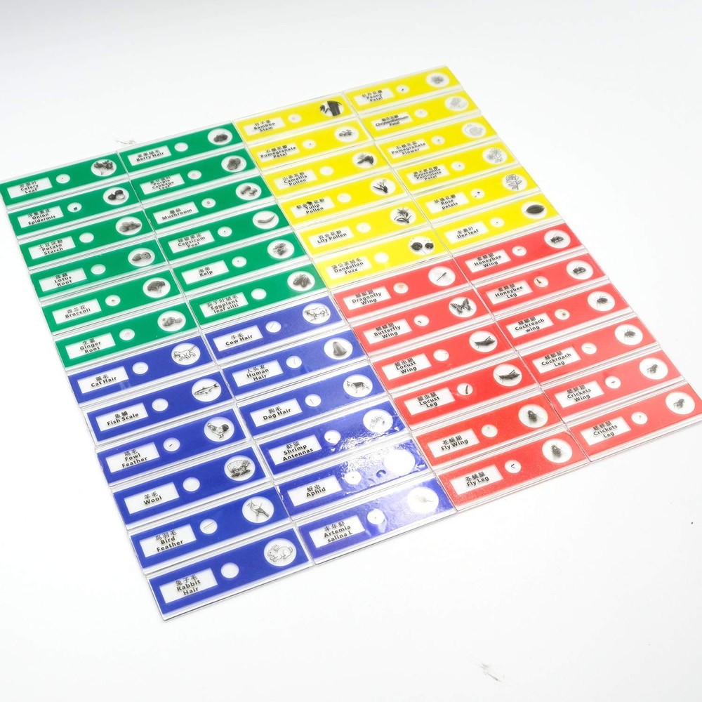 48pcs Prepared Plastic Microscope Slides Biological Specimen with 4 Boxes for...