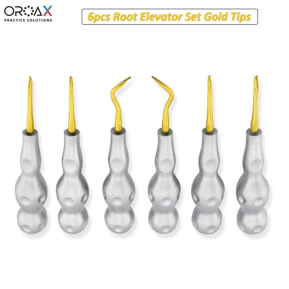 Dental Twist Point Root Elevators Luxating Tooth Extraction Surgical 6pcs Set