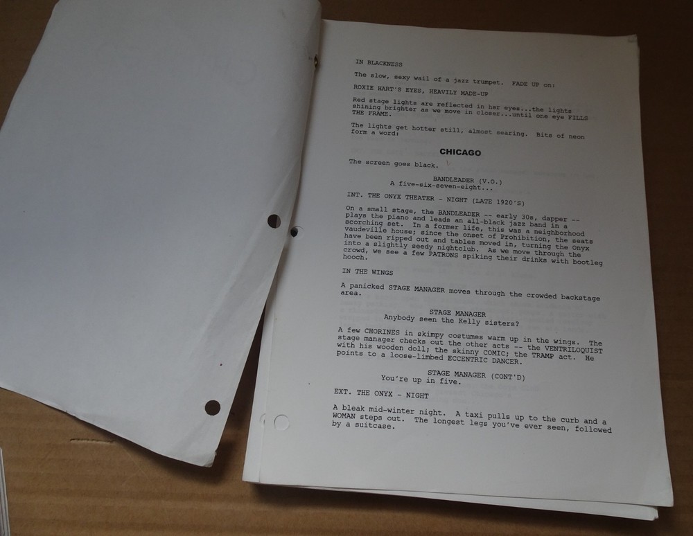 Chicago 2002 Musical Screenplay Full Script by Bill Condon
