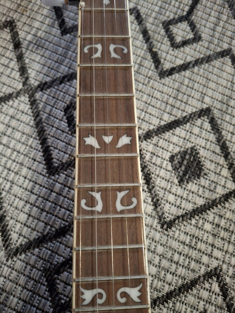 Fender FB55 5 String Banjo