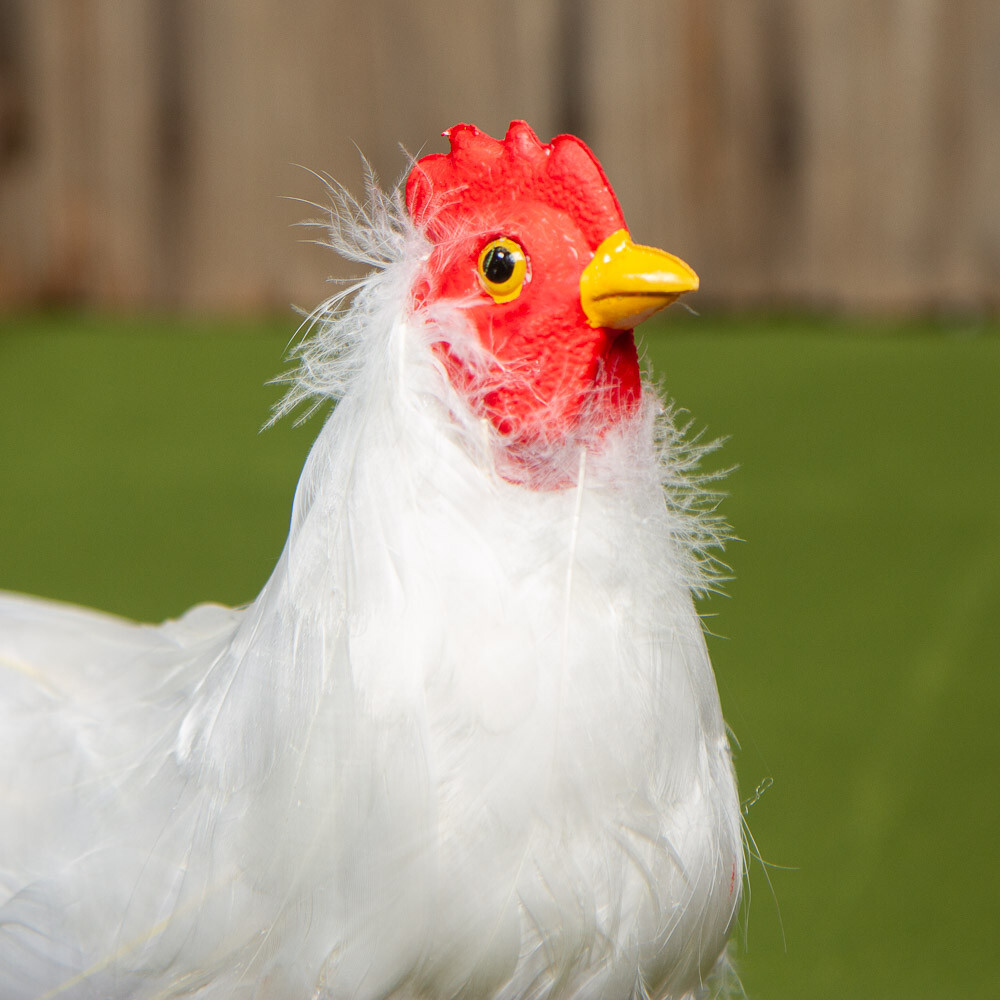 10" Artificial White Feathered Decorative Hen Chicken