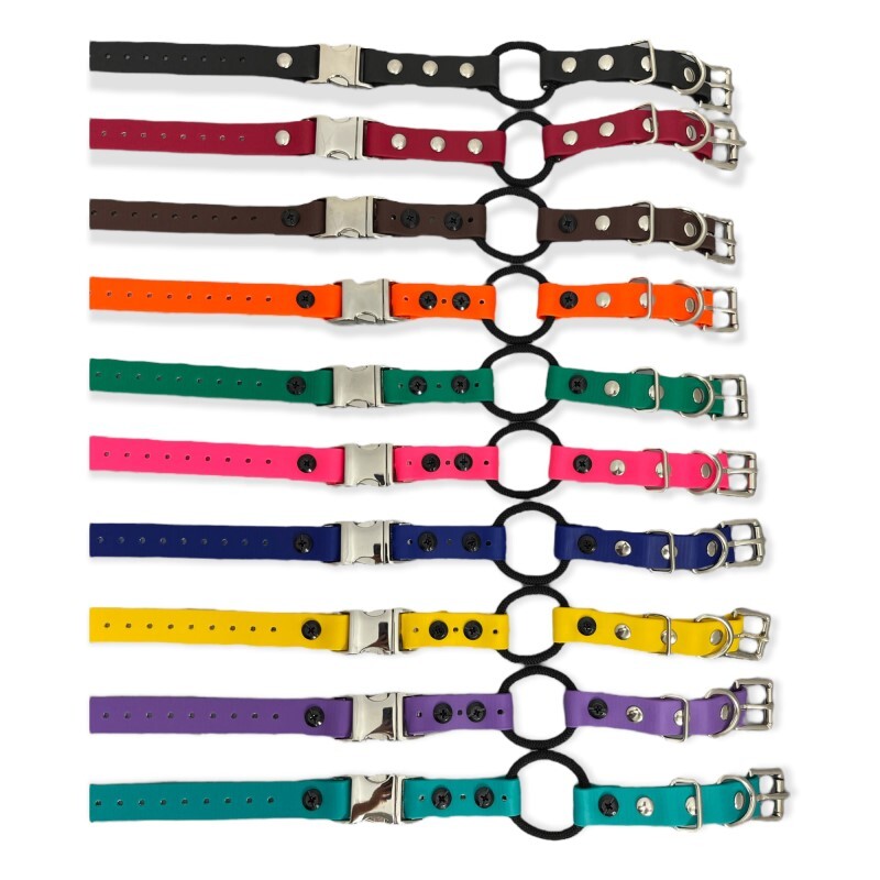 E-Collar 3/4" Quick Snap Bungee Replacement Strap - 10 Colors