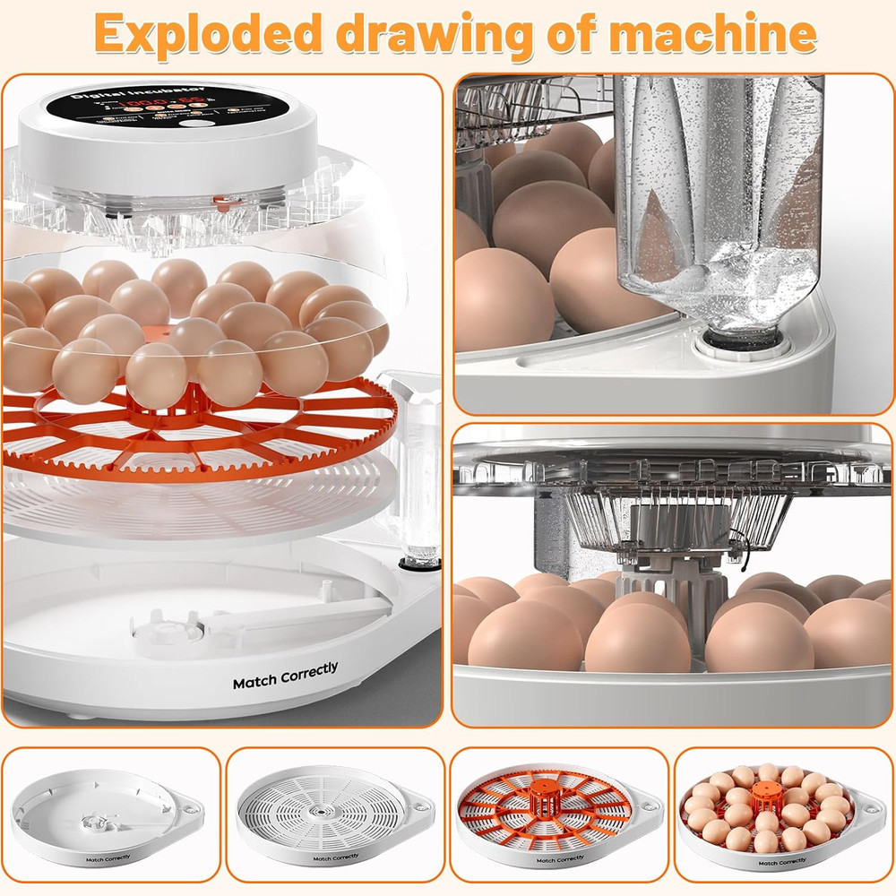 12 Egg Incubator for Hatching Eggs with Automatic Egg Turning, Temperature & Hum