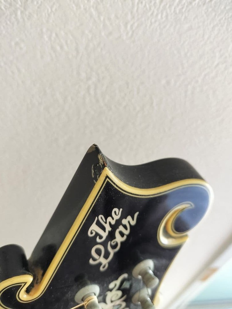 The Loar flat mandolin