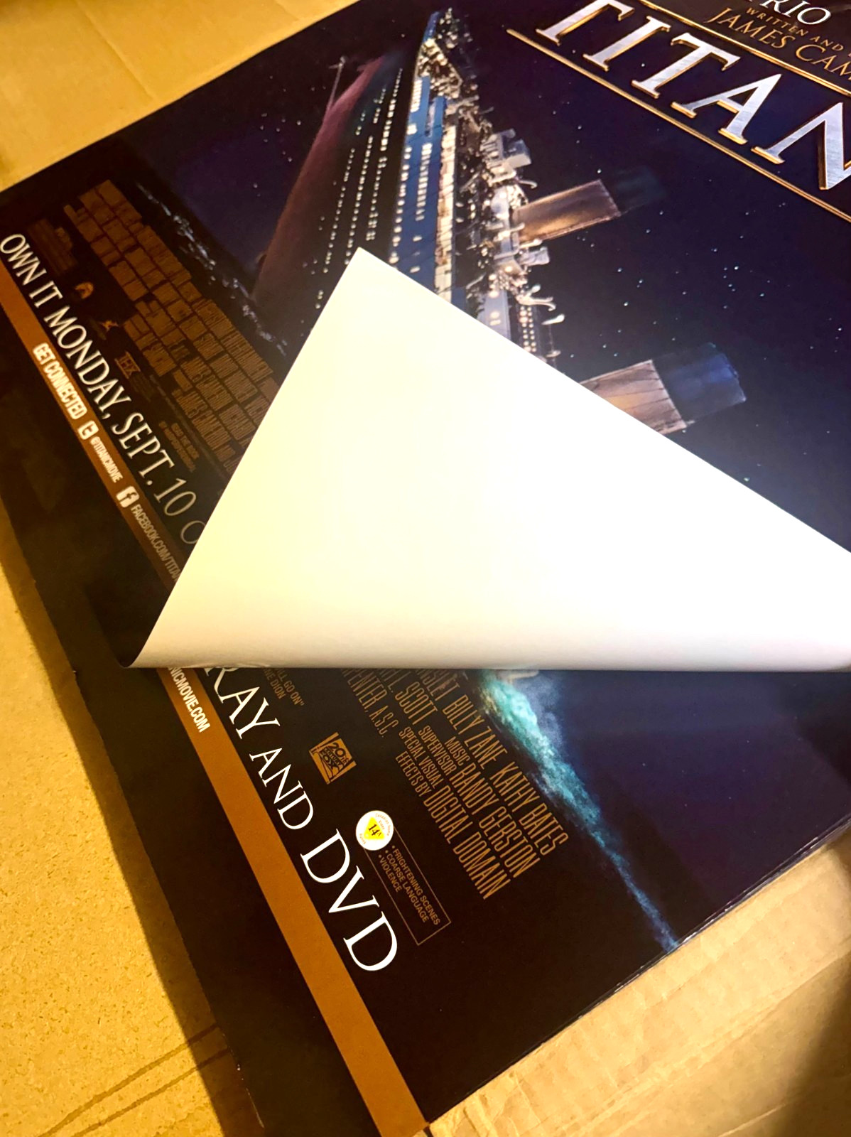 Titanic the Movie - Video Store Movie Poster - NEW - Original - 27" x 40" - READ