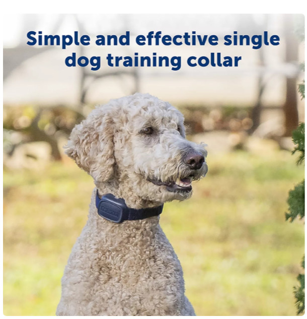 PetSafe Basic Dog Training Collar Remote 300ft Waterproof Rechargeable