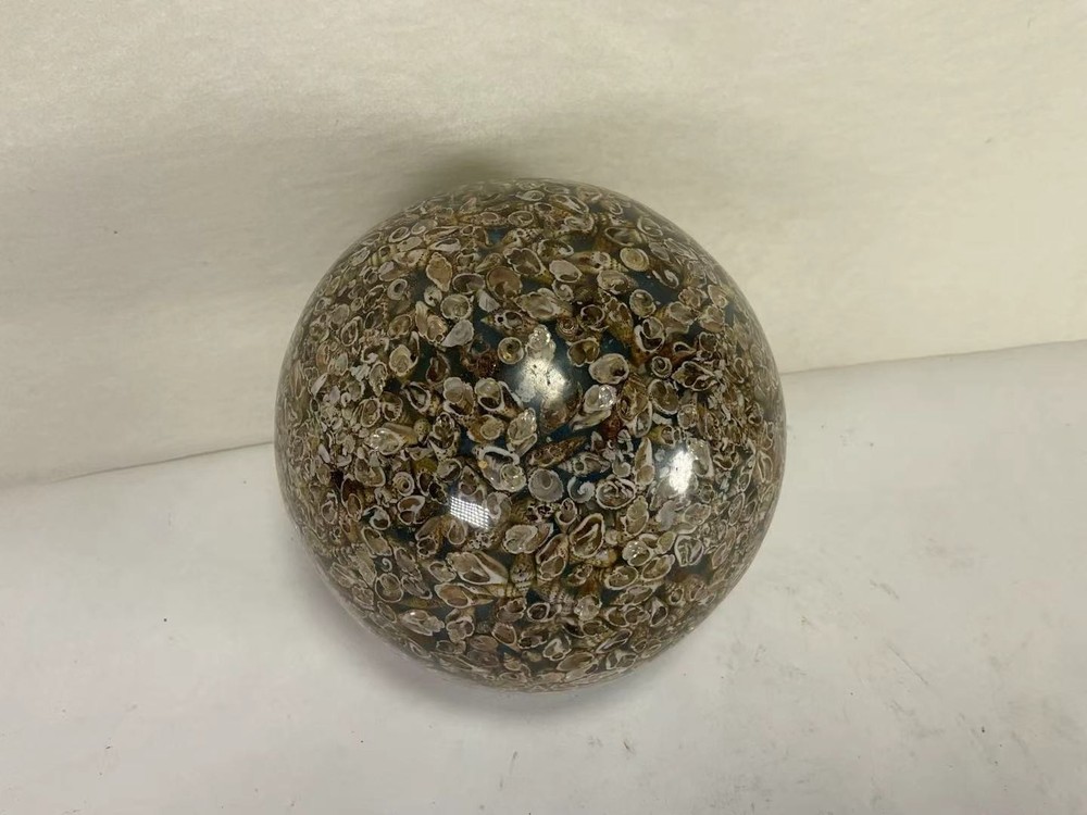 AAA88 Globe Sphere Small Seashell Beach Home Art Decoration Object