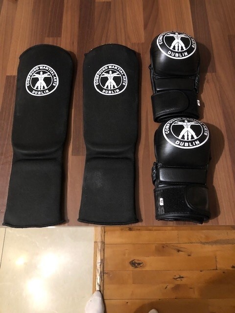MMA shin guards and gloves set