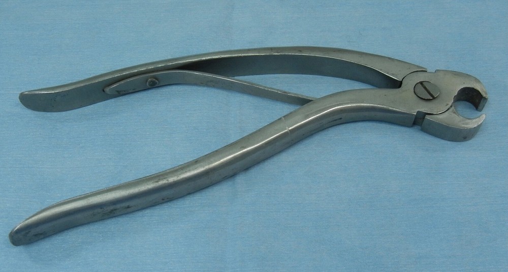 Equine Incisor Cutter