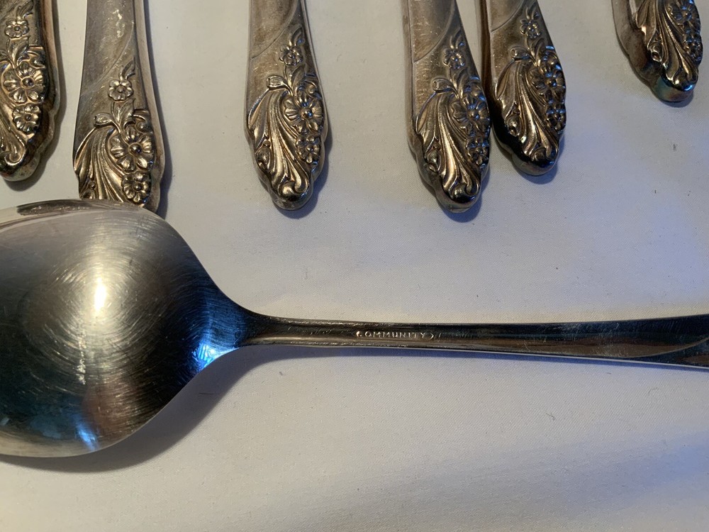Oneida Community Flatware 51 Pieces With Plastic Footed Chest