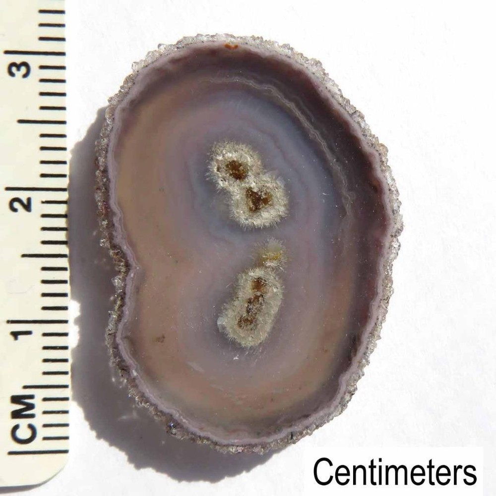 Stalactite Flower Slice Polished Both Sides VX692