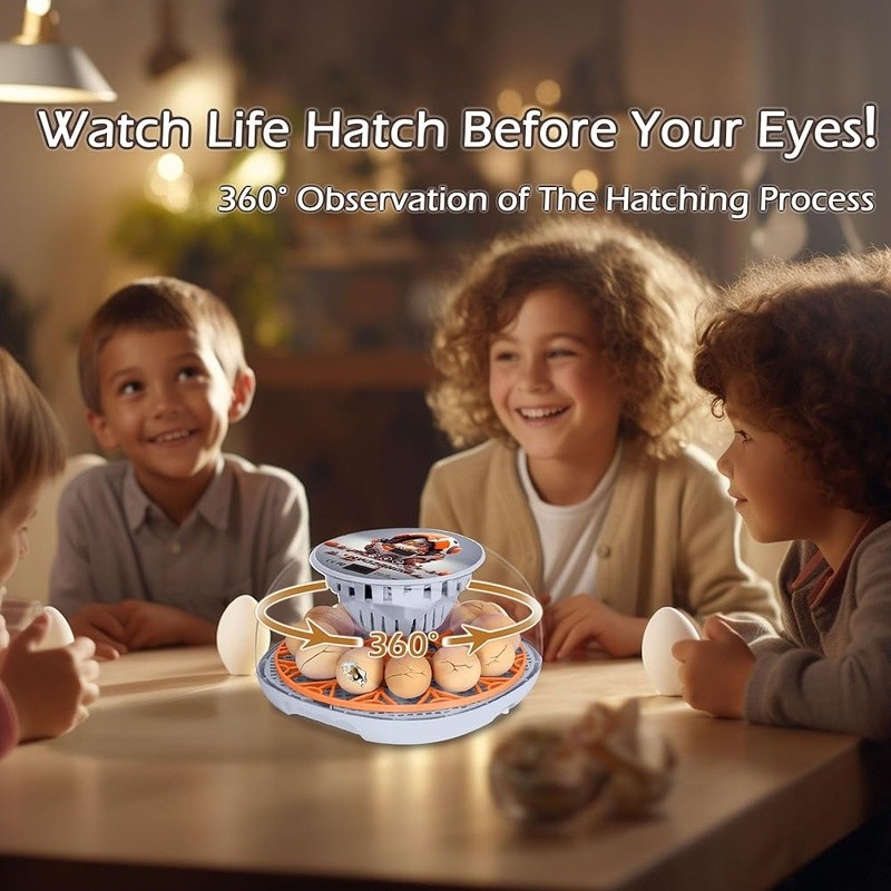 Automatic Egg Incubator 360° View High Hatch Rates Humidity Control Easy Setup