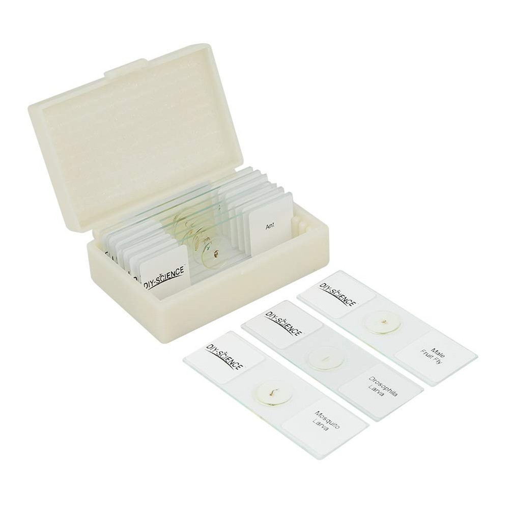 Prepared Whole Insects Microscope Slides Set, 10pcs Specimens for Kids Studen...