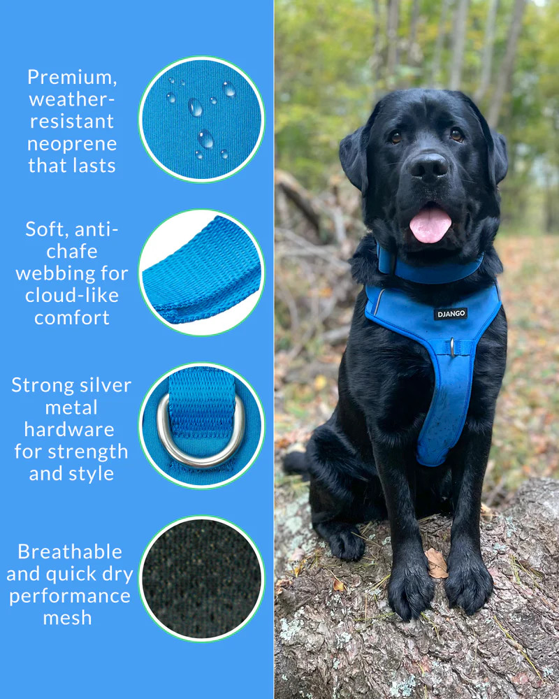 NWT Django Tahoe No Pull Dog Harness