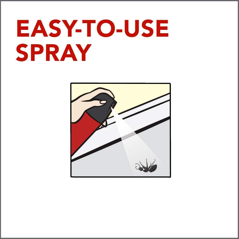 3 Cans Raid Ant & Roach Killer Spray Keeps Killing for Weeks Lavender Scent