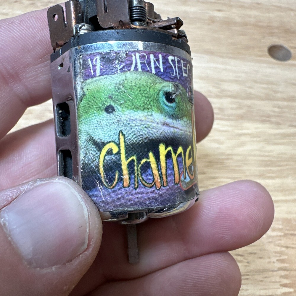 Trinity Chameleon 19t Spec Brushed Motor 540