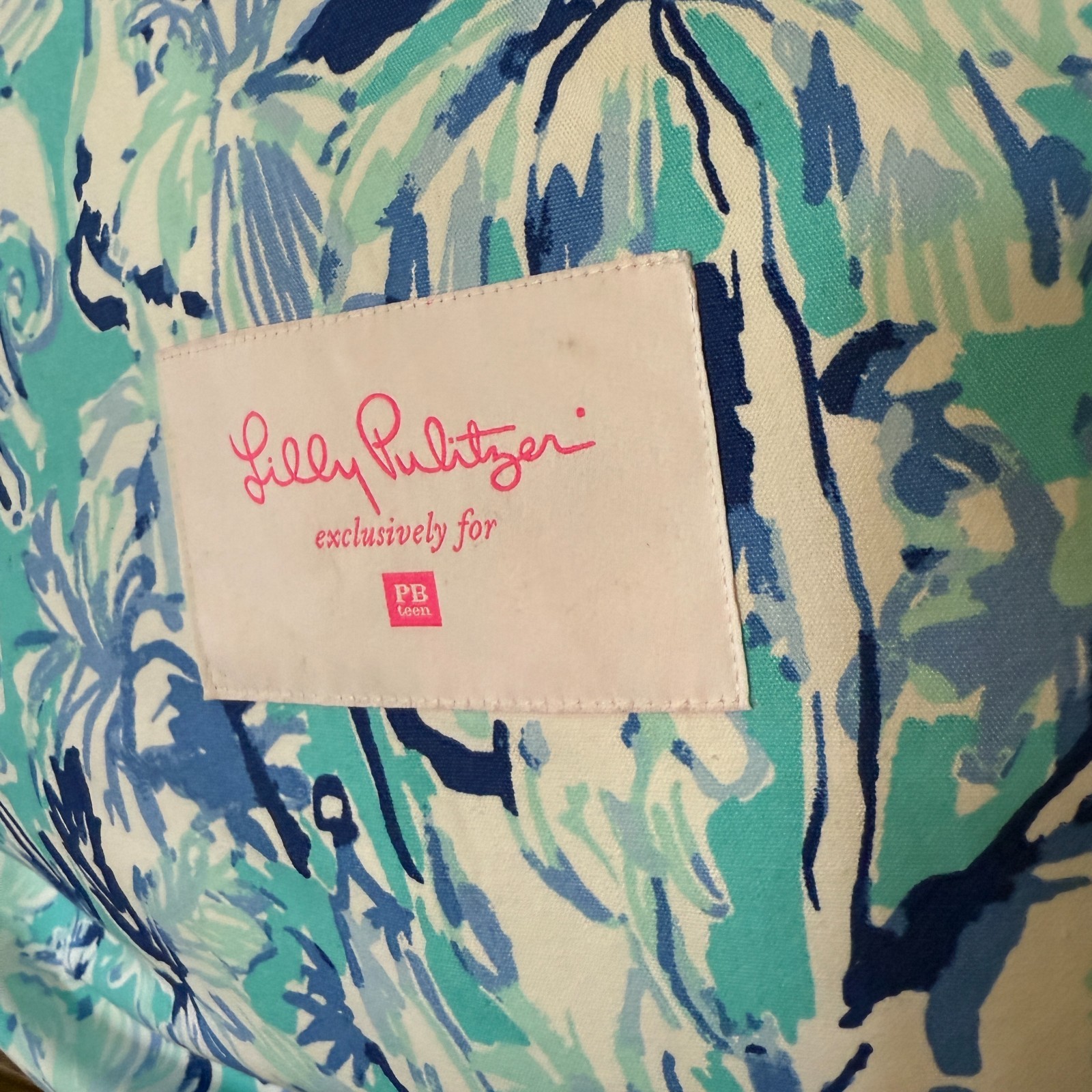 Pottery Barn Lilly Pulitzer Bean Bag Chair Elephant Appeal Slipcover with Insert