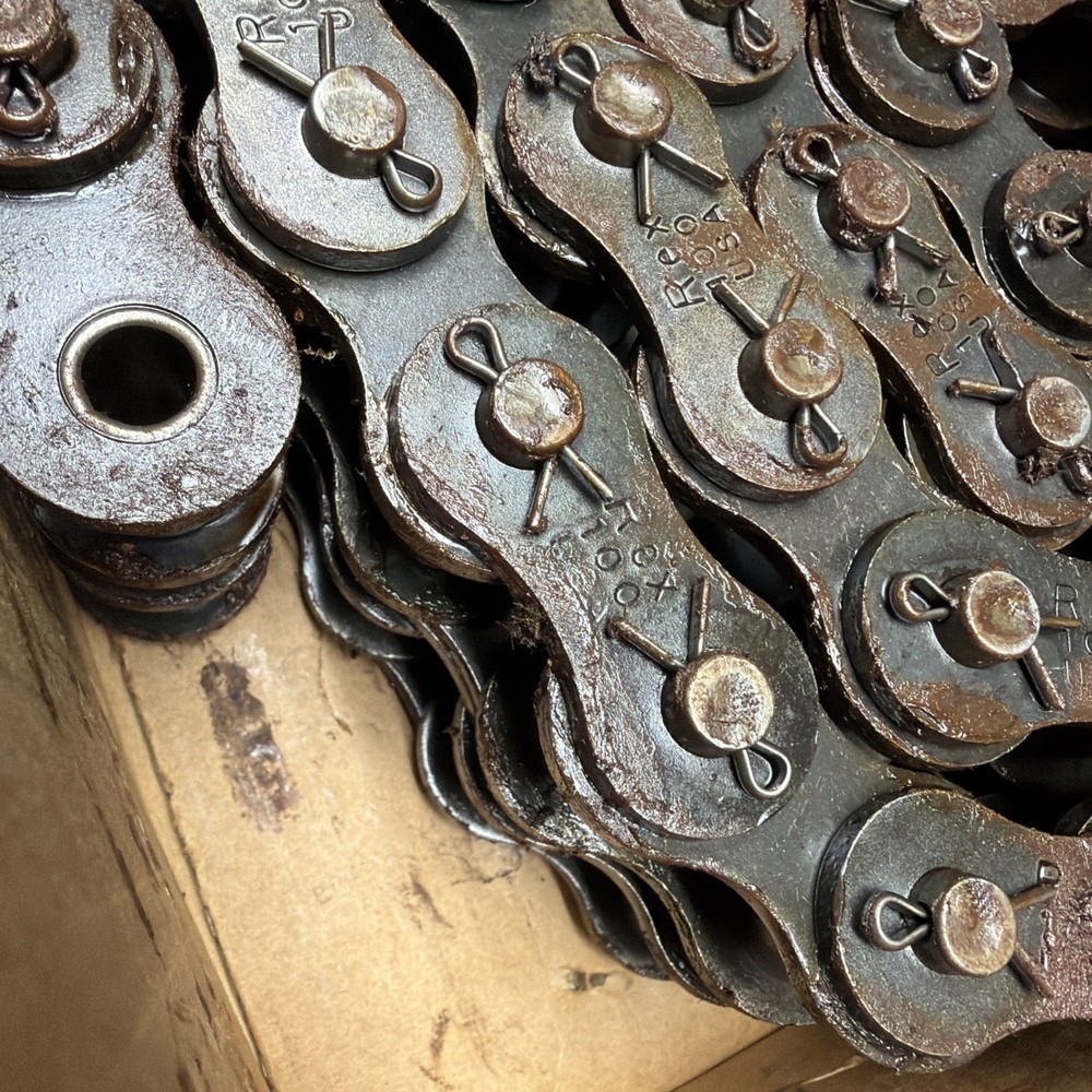 Rex 100-2 COT.Oil Filled Roller Chain 10 Ft Long