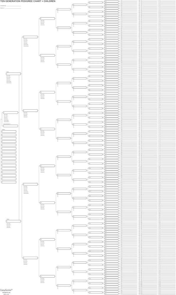 10 Generation Blank Pedigree Charts Plus Kids (Single Sheet) | Archival Quali...