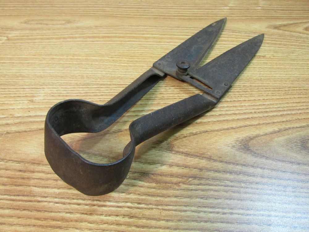 VINTAGE SHEEP SHEARS