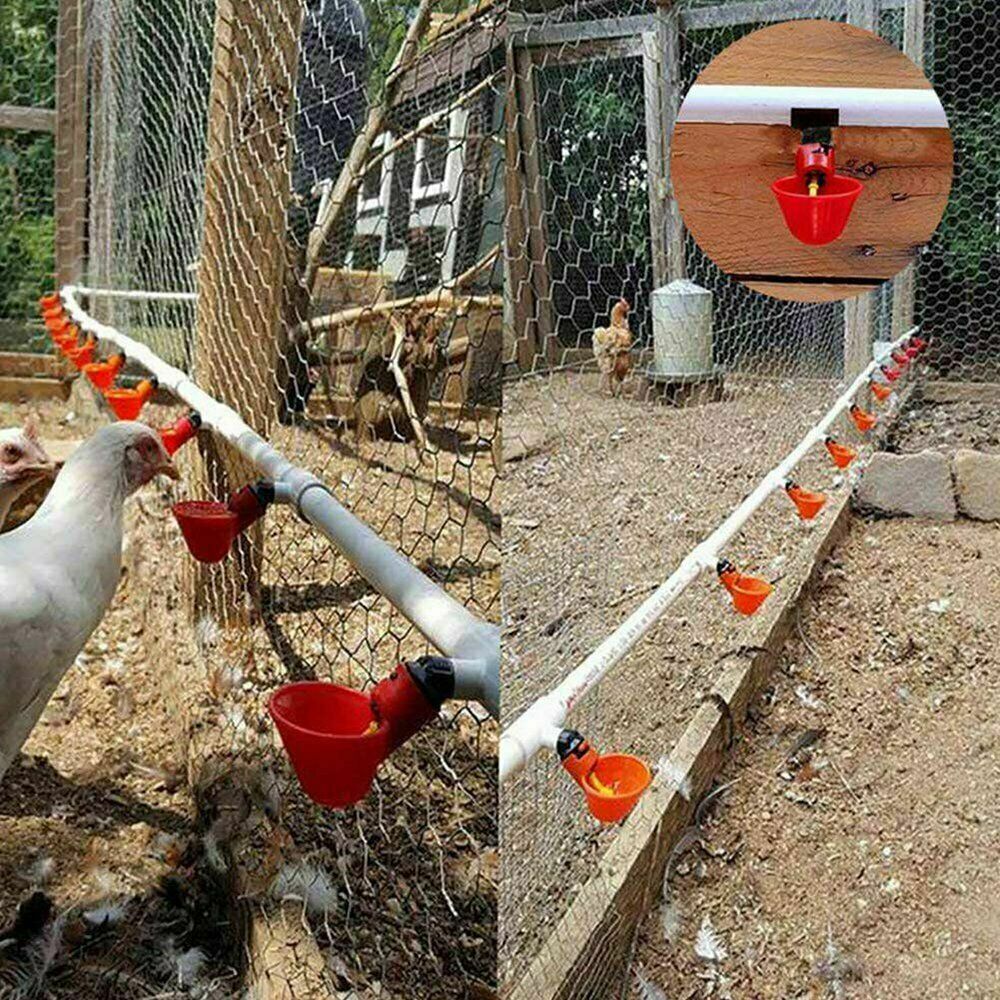 2Pcs Poultry Water Drinking Cups Chicken Hen Plastic Automatic Drinker Feeder