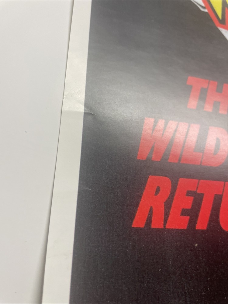 Iggy Pop Promo Poster Instinct ‘89-￼Painters&Dockers-Sun Dogs