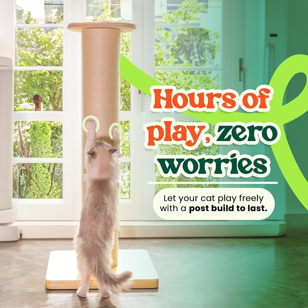 Extra-Large 50" Cat Scratching Post for Big Cats with Solid Wood Base