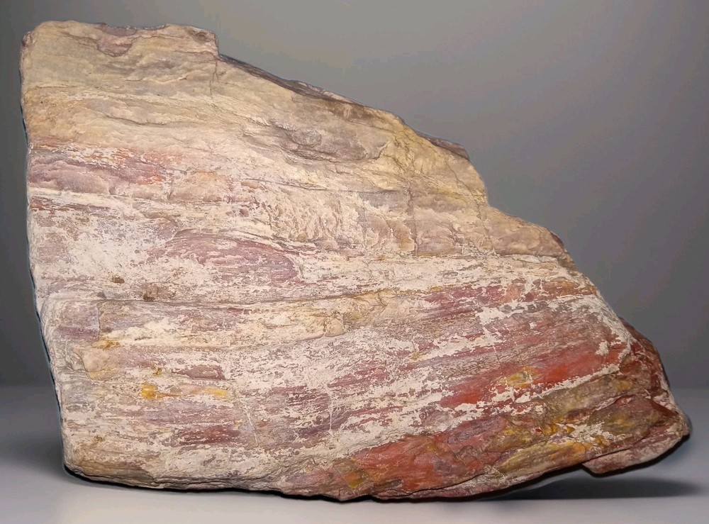 Pink Petrified Wood Rough 2 lbs+ AZ
