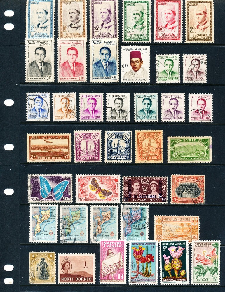 Syria, Morocco, Others