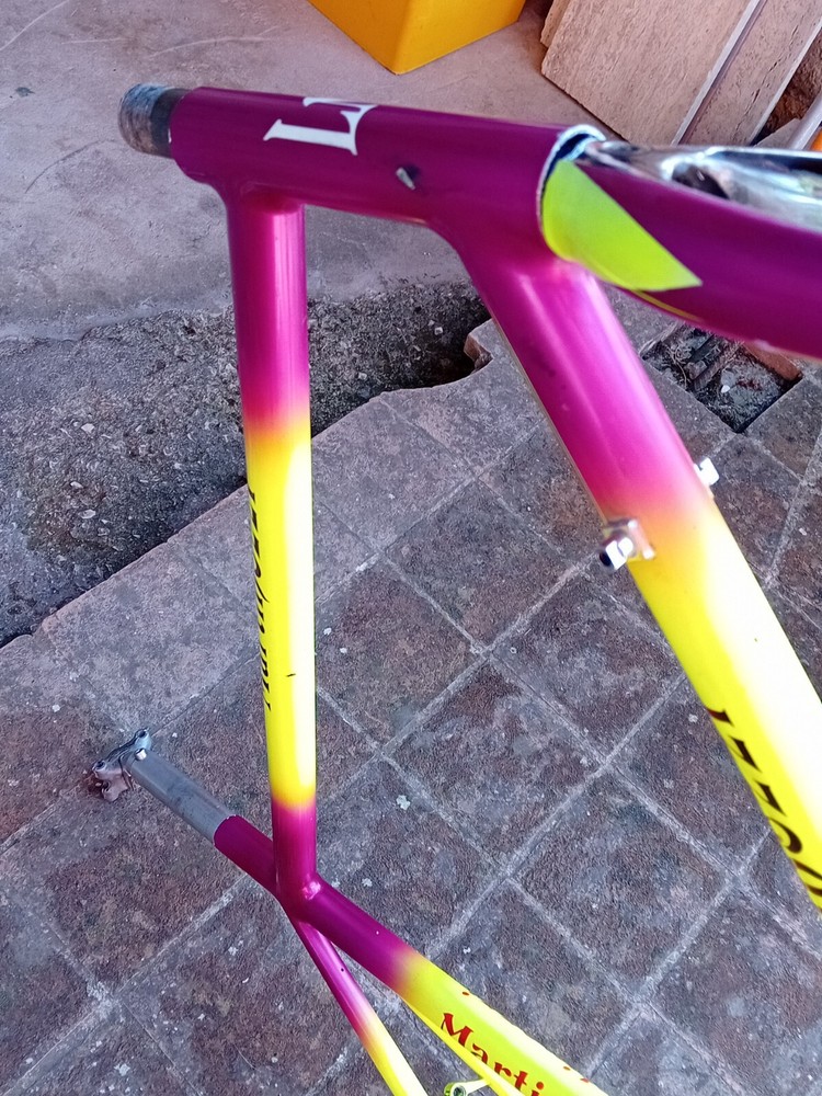 Moser Leader Ax Evolution Vintage Campagnolo Seatpost Fork Frame